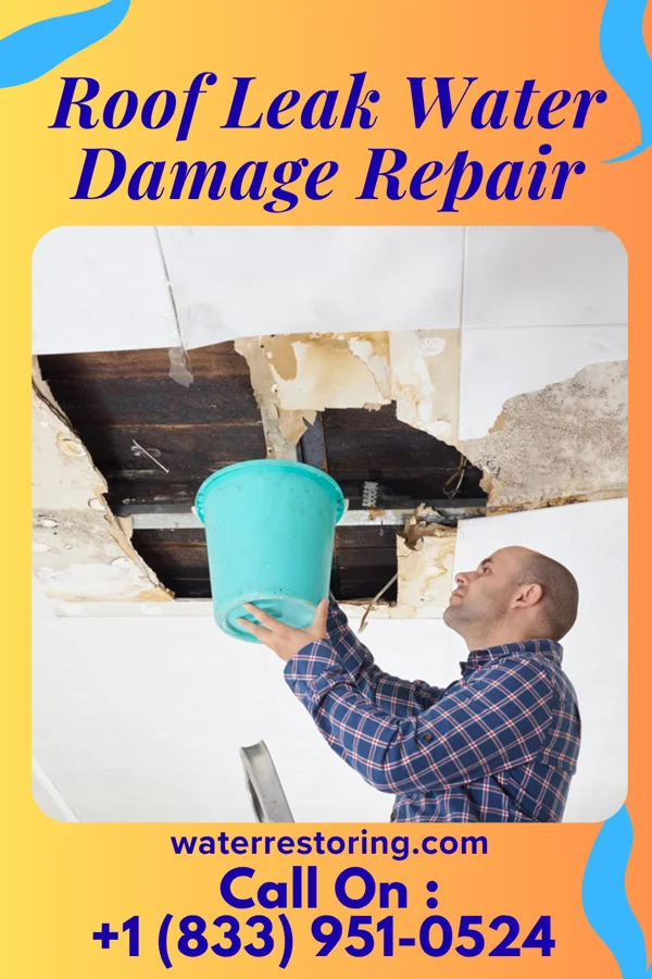 Roof Leak Water Damage Repair in Valley City, IL