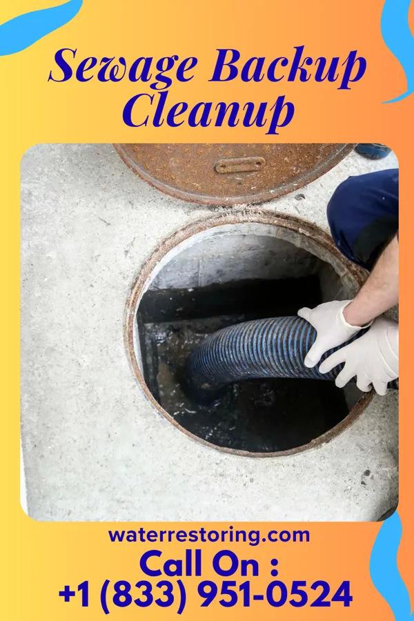 Sewage Backup Cleanup in Valley City, IL